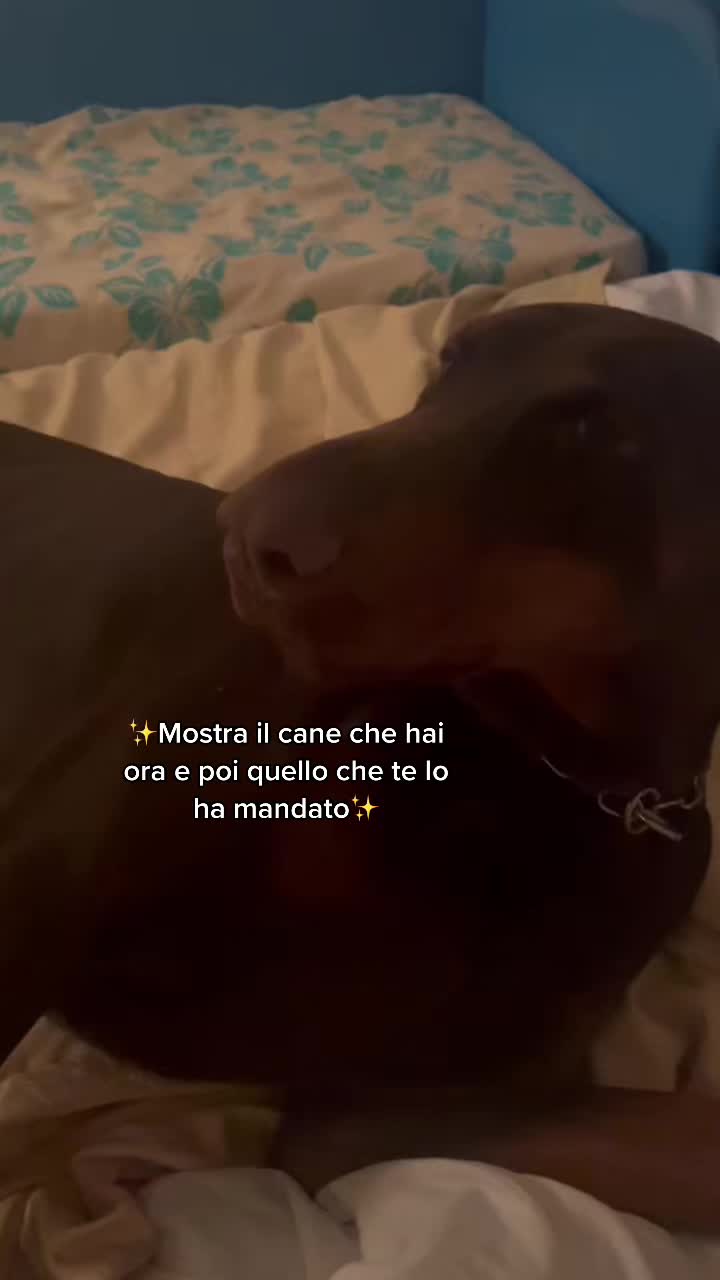 @nickita