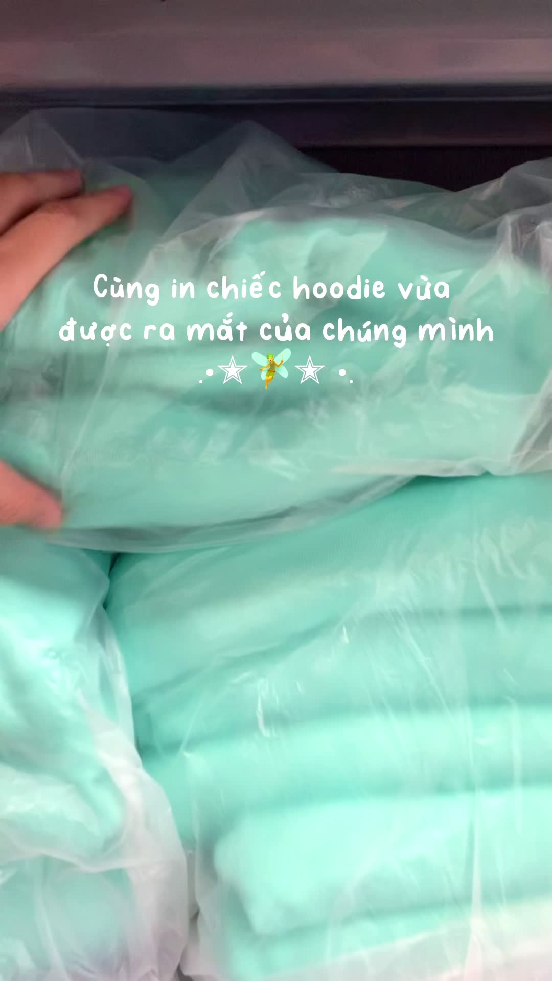 @Hey, Tiffany Cat