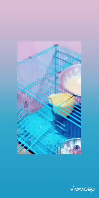@D0uB|£$๐
