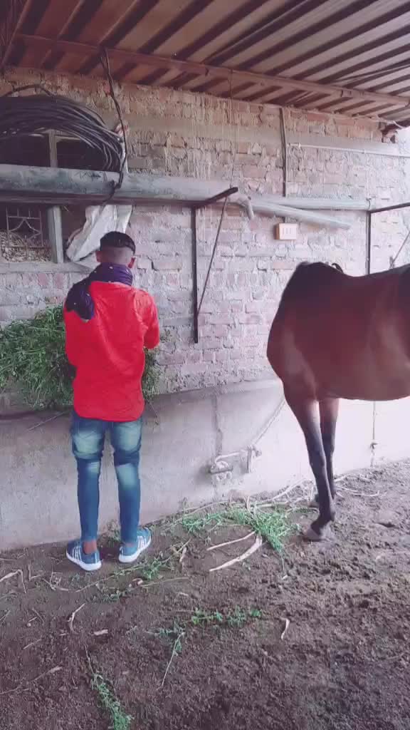 @jayrajsinh_7007