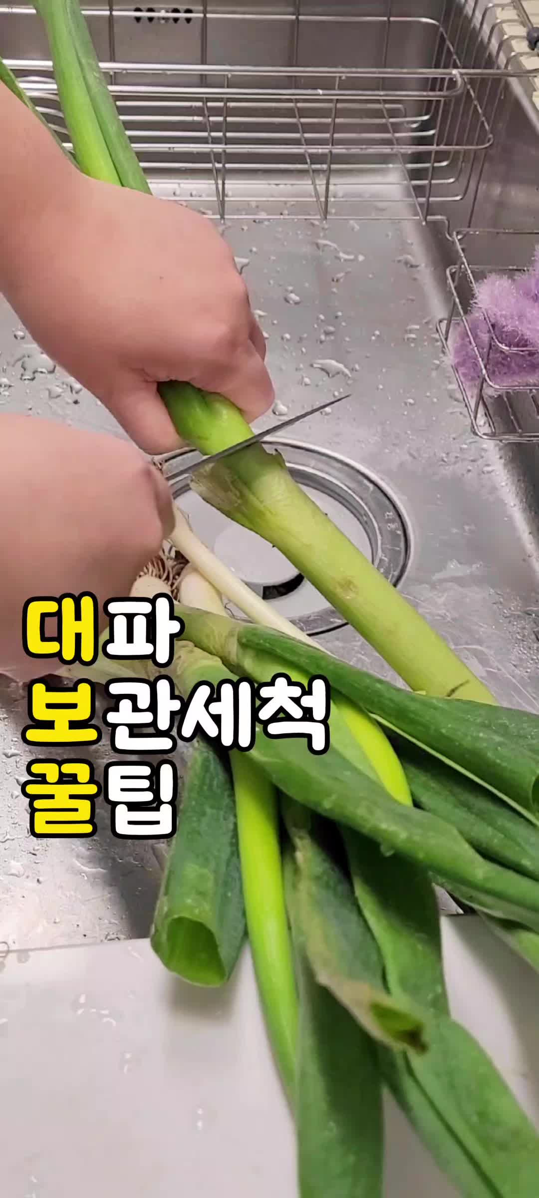 @밥밥비바