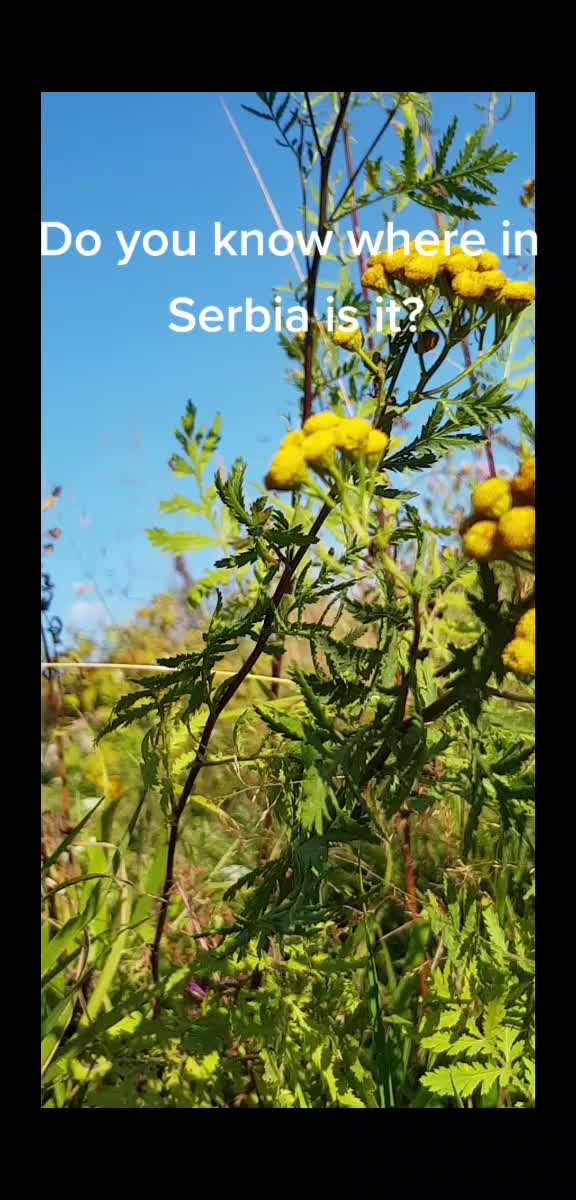 @semisafina
