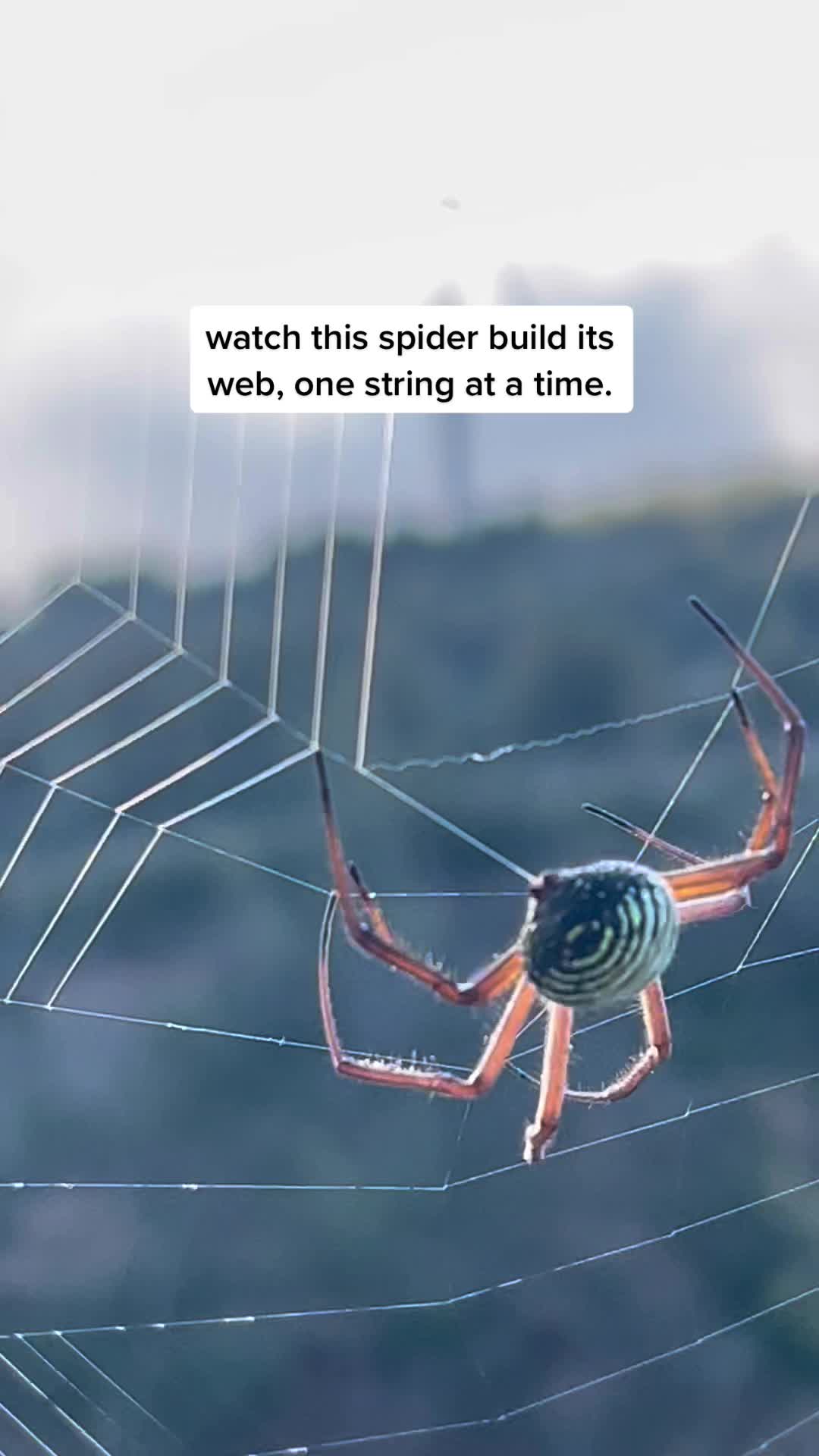 @Kevin