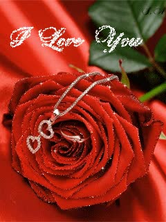 @Mubashir Ali