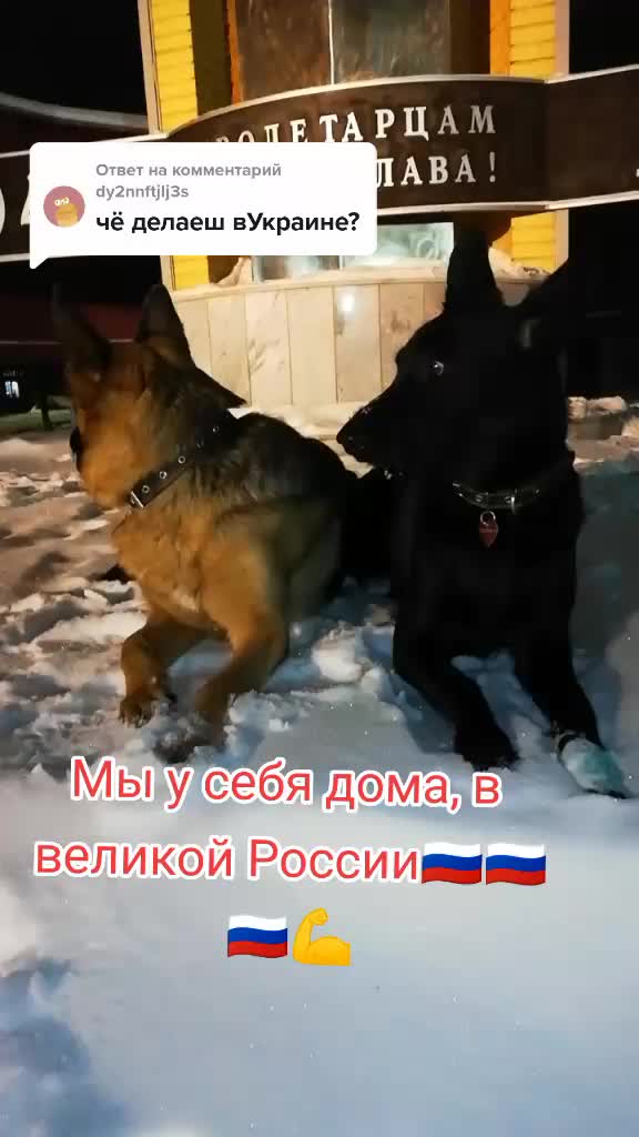 @Irinagerasimova
