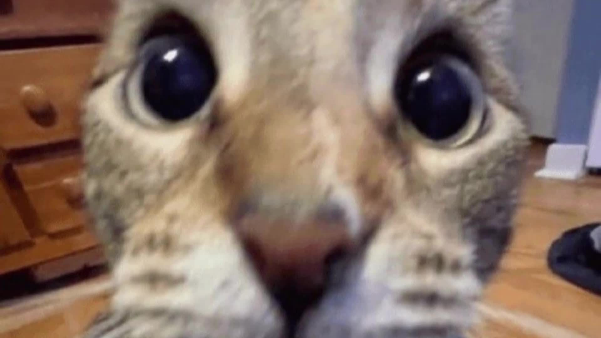 @piercethebeep