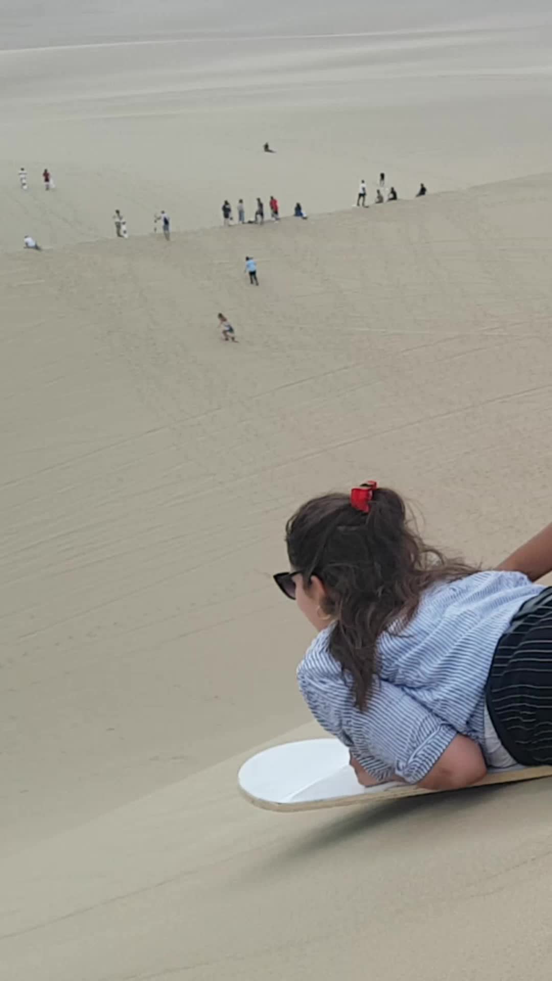 @TravelDino