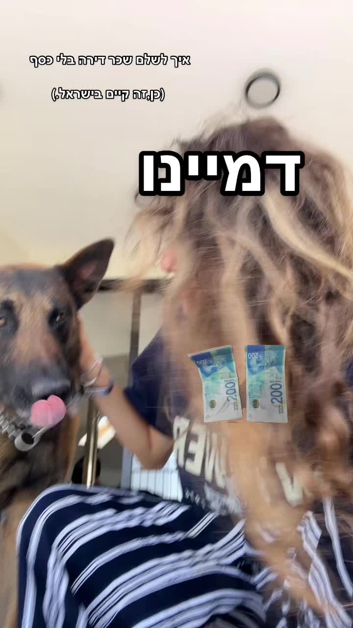 @💛 נוגה גפן - Noga Gefen 💛