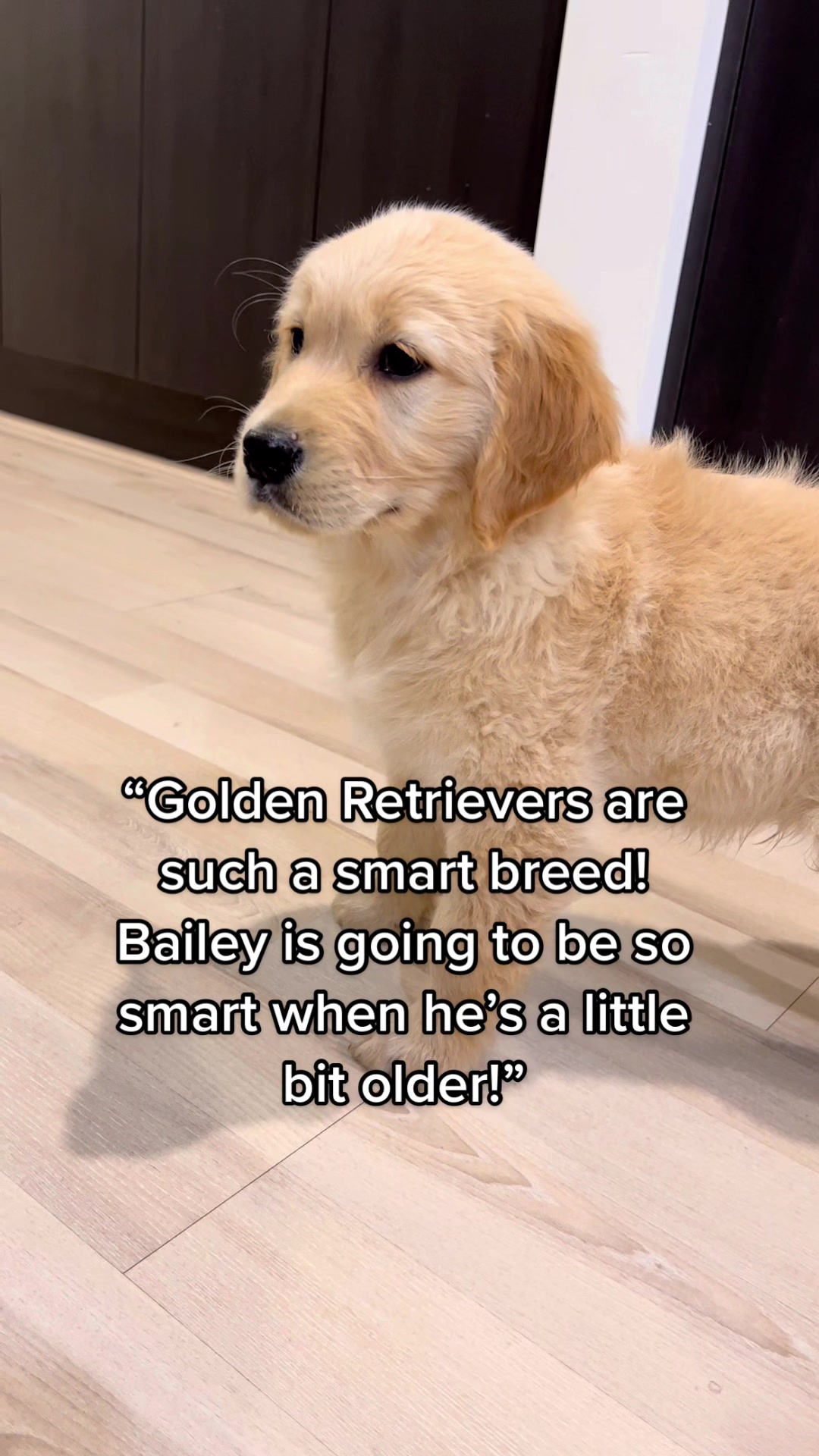 @Scout and Bailey 🐕🐶