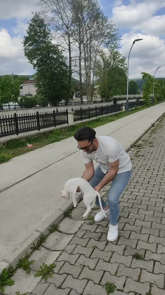 @hayalim bir tek sen