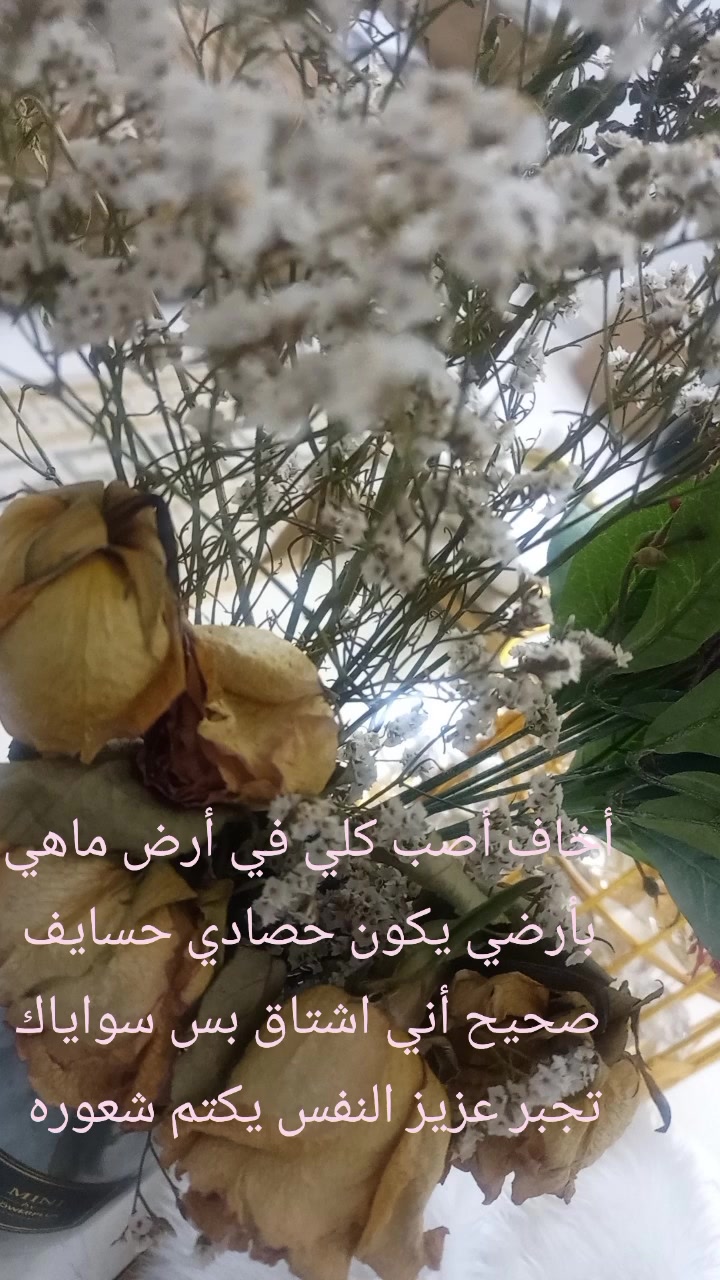 @ريما الغامدي