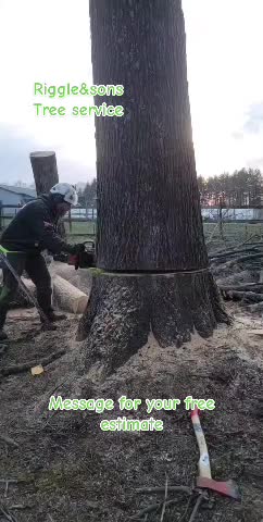 @Treeman45