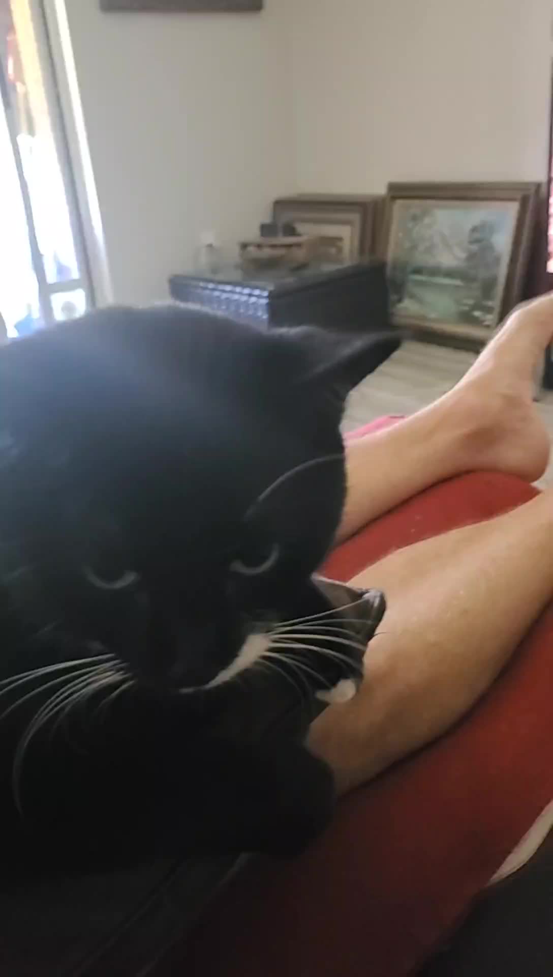 @MrPickles