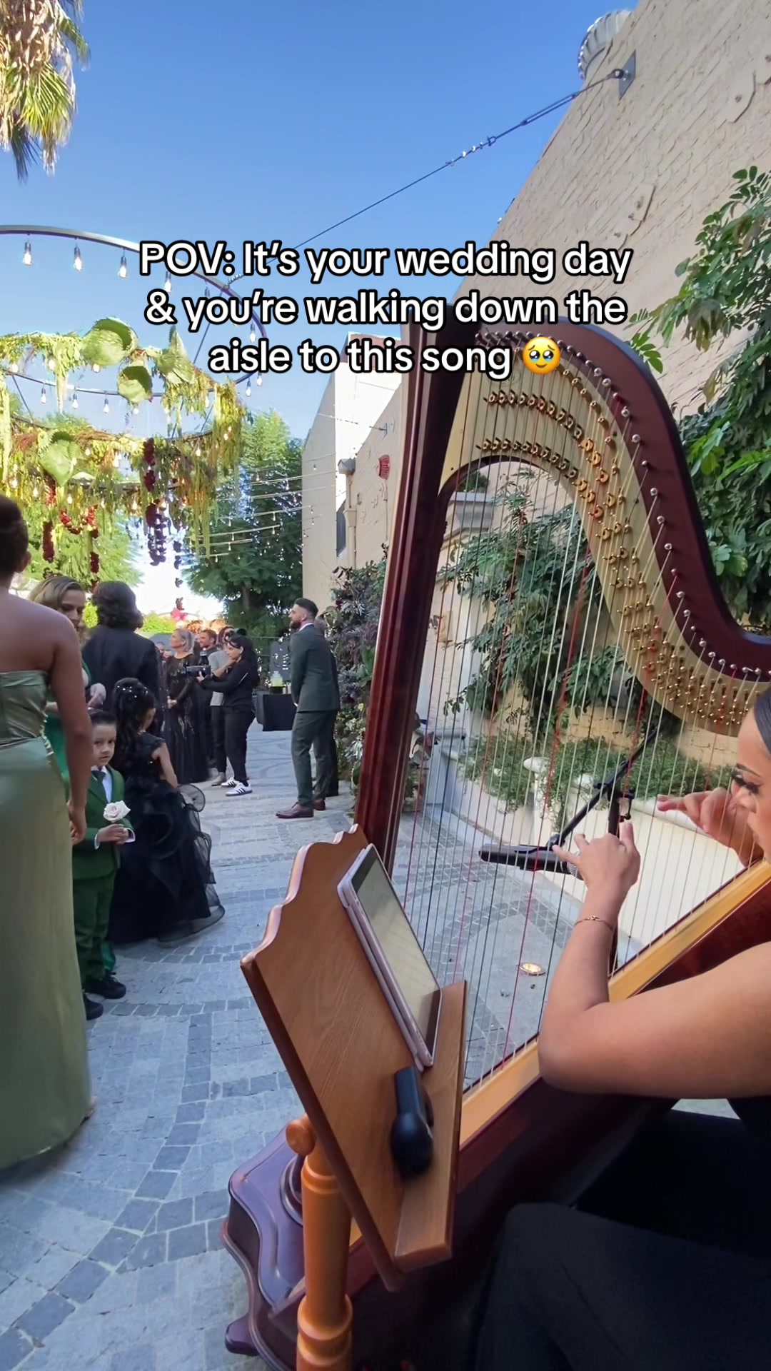 @betaniarodriguezharp