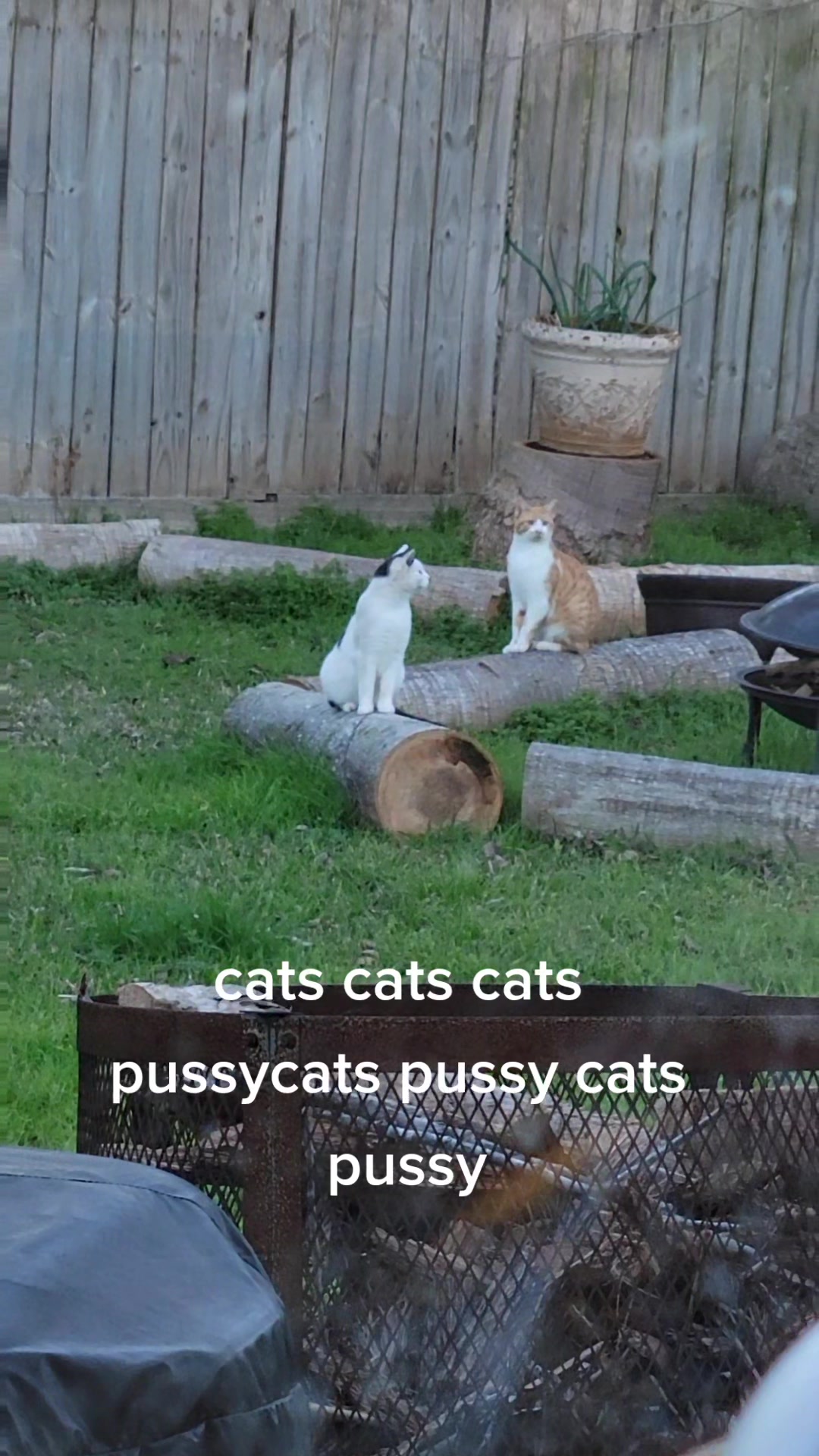 @matt