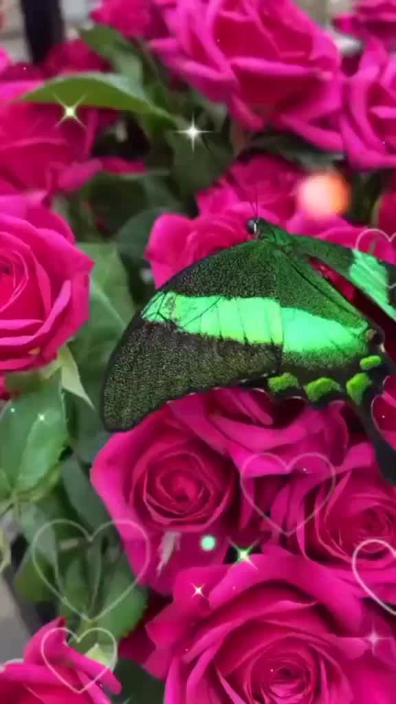 @hədiyyə atana qarşılıq