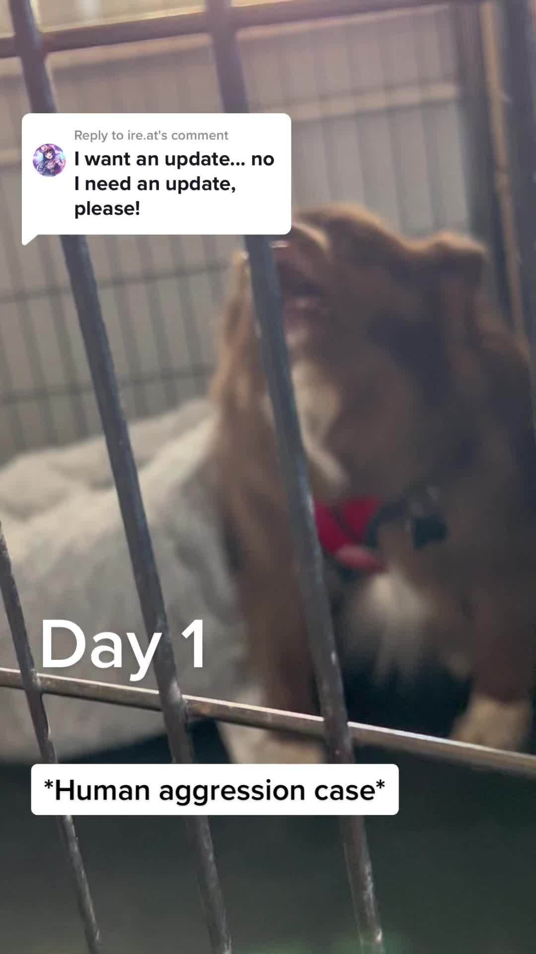 @OUTBOUNDDOGS