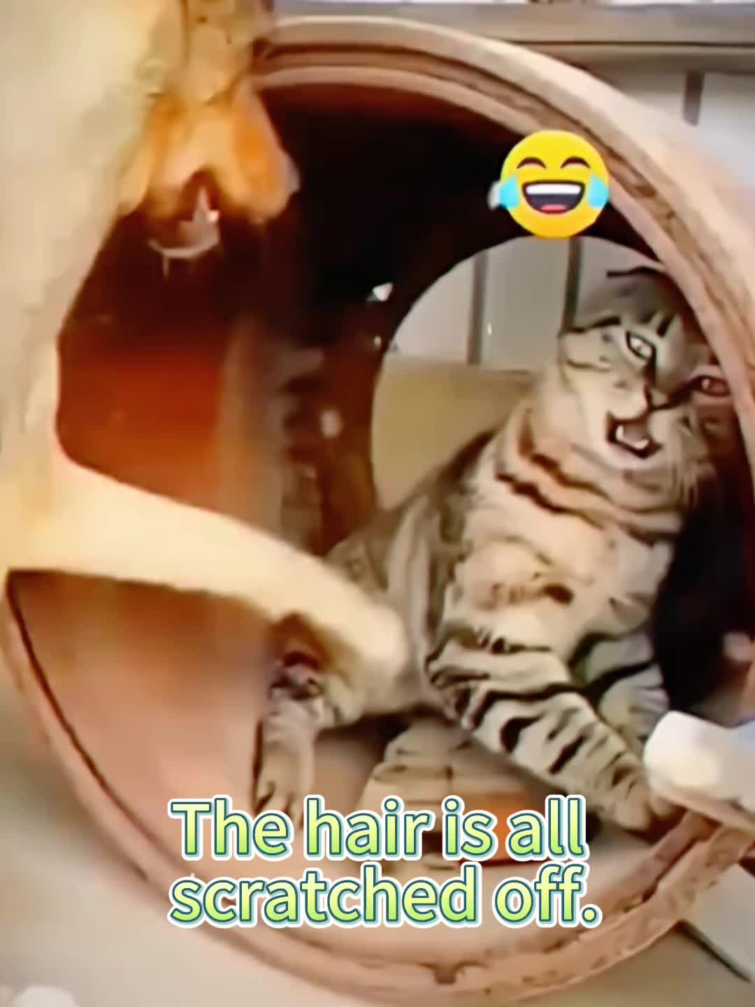 @xiaotwile3t