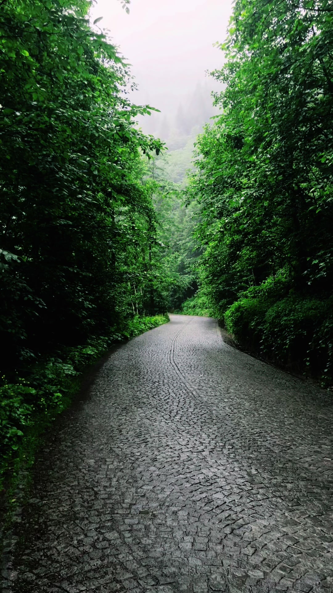 @travelerbedir