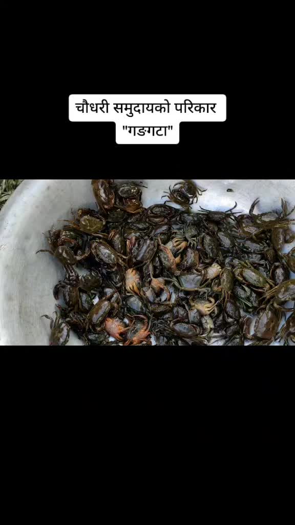 @surendra acharya