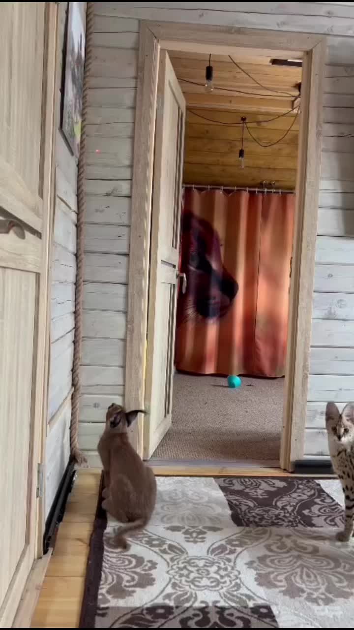 @Анна
