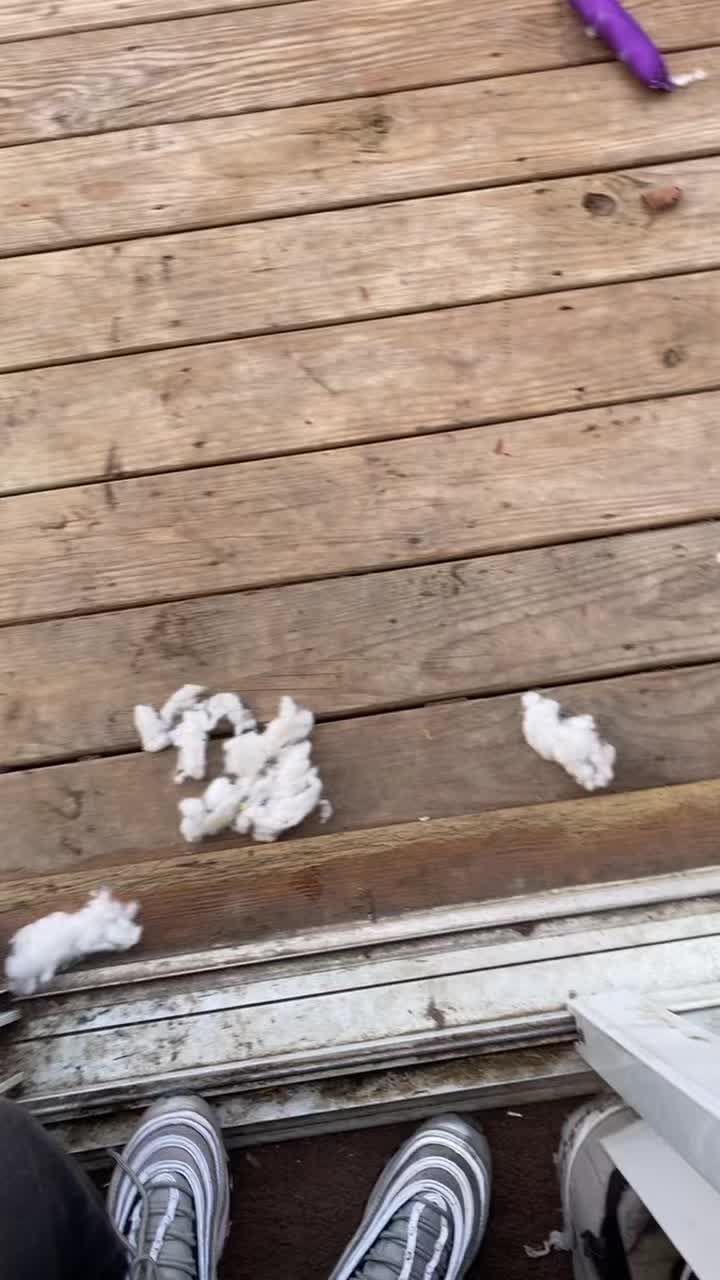 @Hi