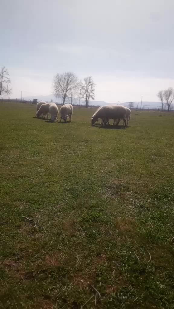 @Abdurrahim Aguş