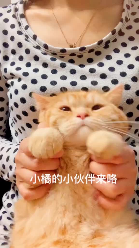 @hgz143