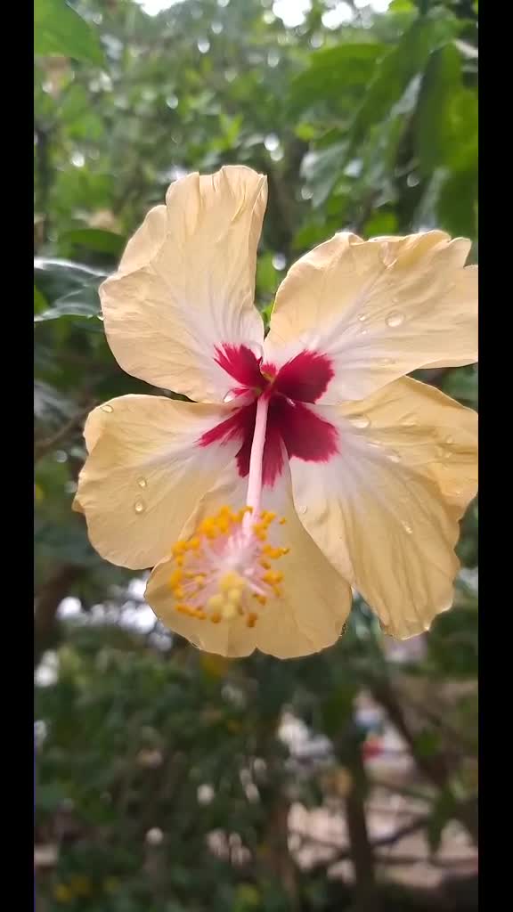 @Jaya Murugan