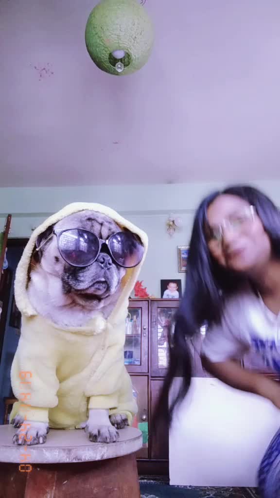 @p.k..🖤.🐶🐕🖤🛐✝️