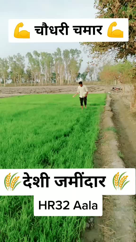 @Deepu Patlan