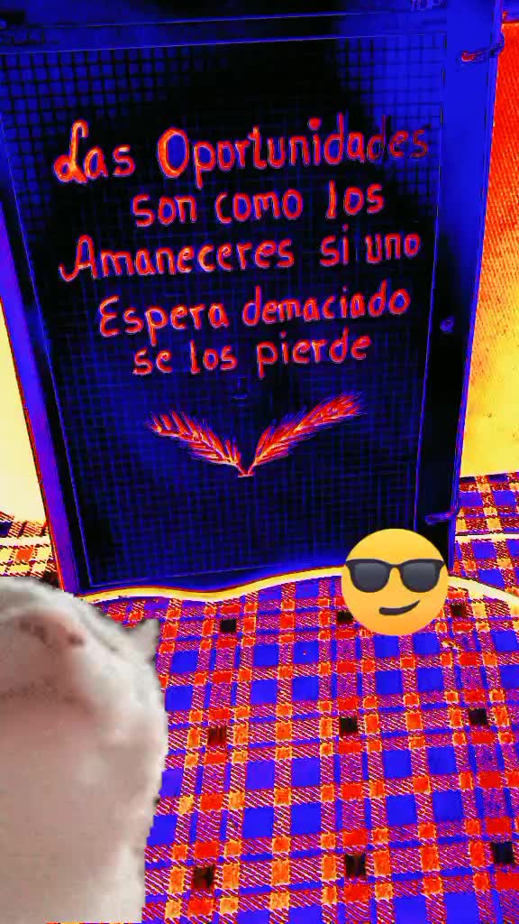 @lexerojj