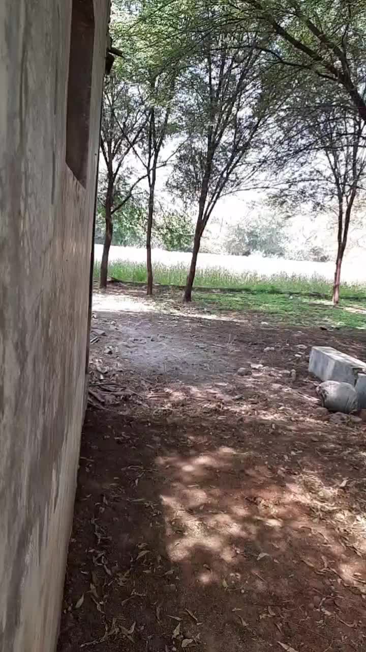 @Hiteshnadiadi