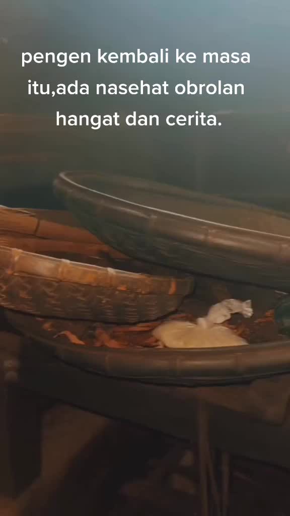 @santpecis