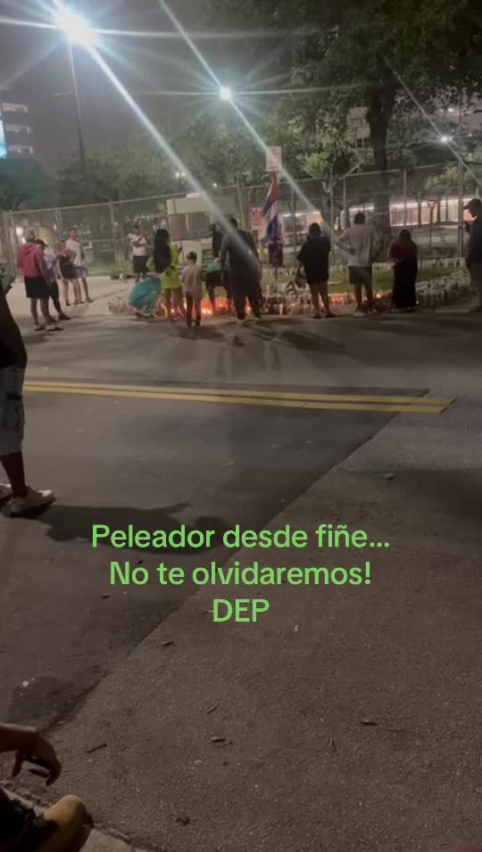 @DLVS