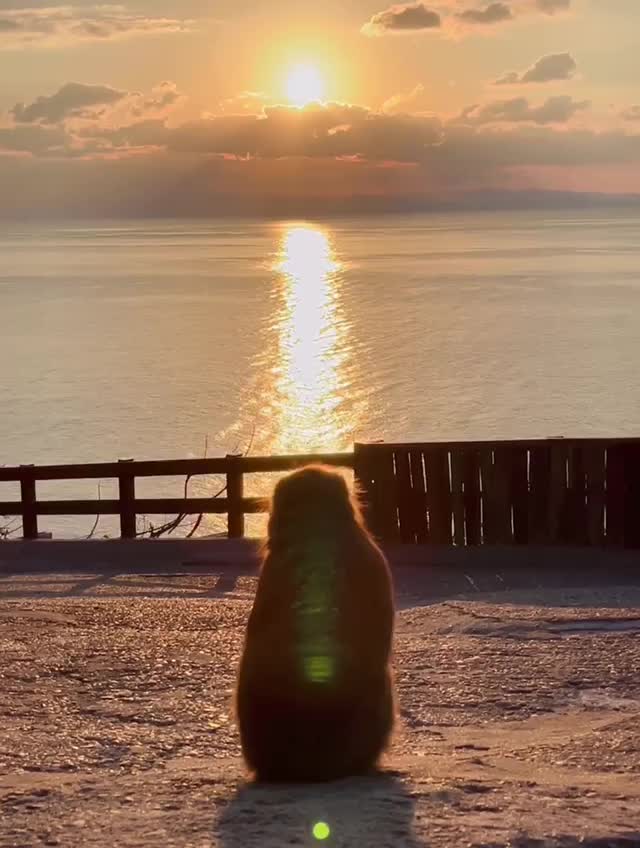 @Помидор