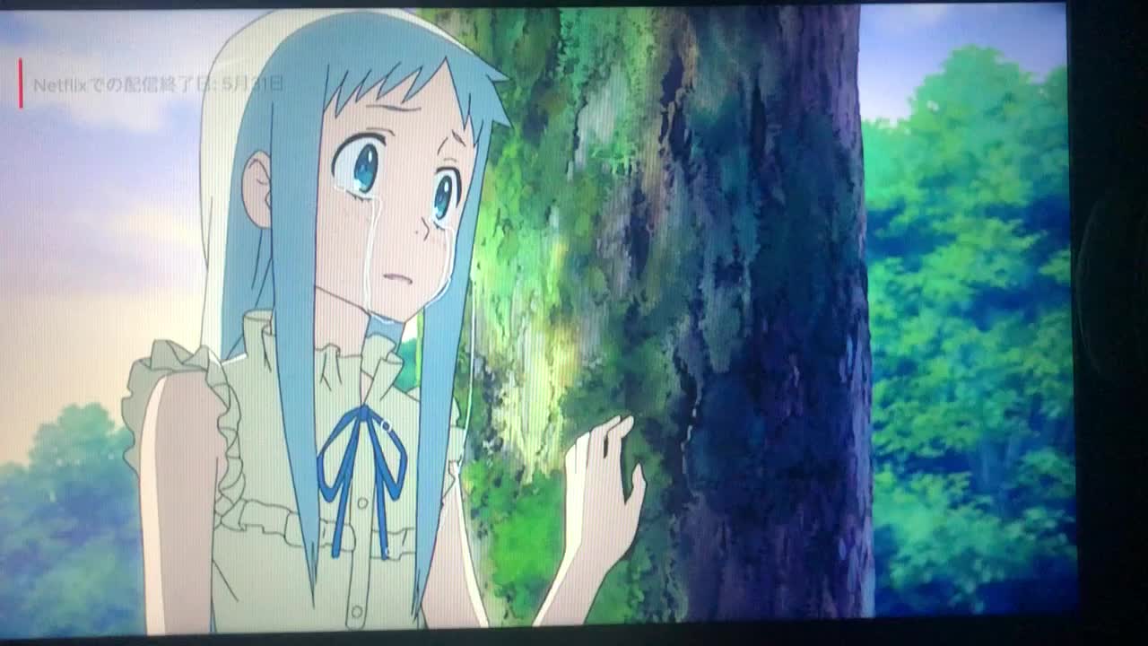 @ポコポコんぶ