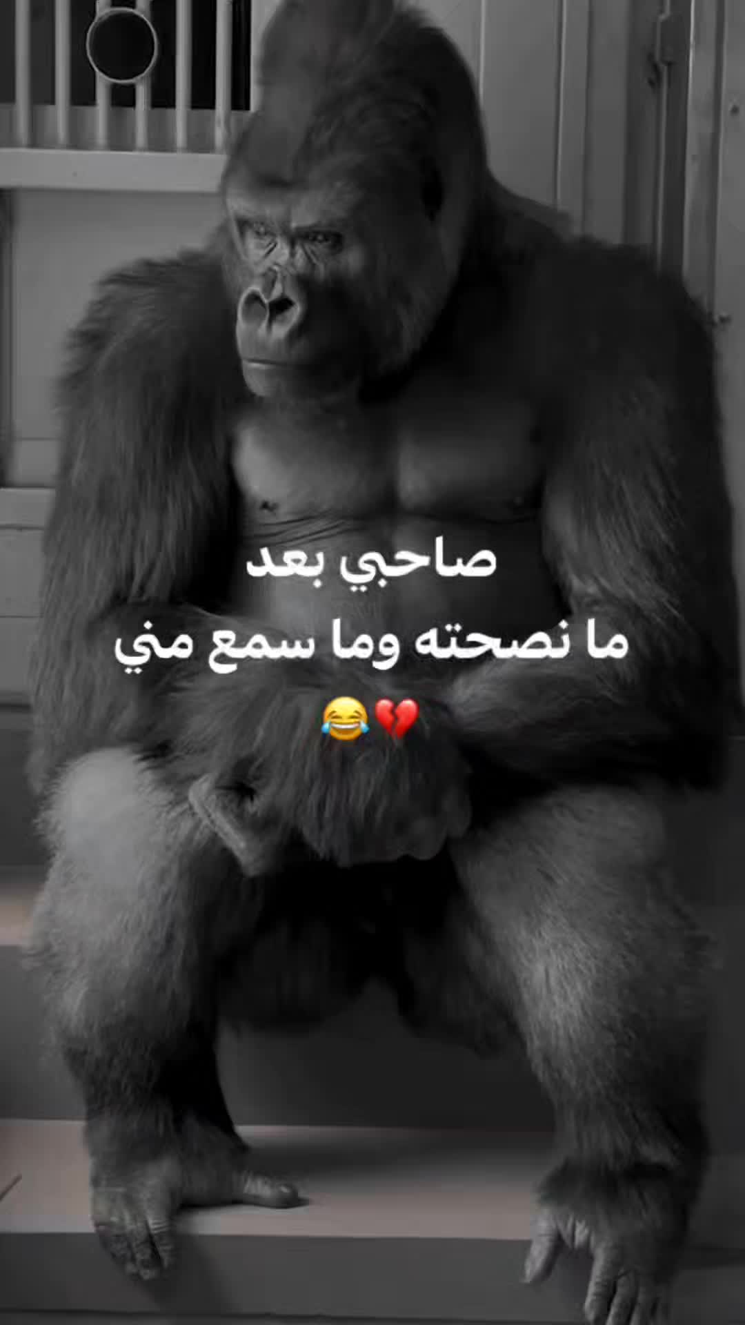 @﮼ݺ،اسمراني🖤