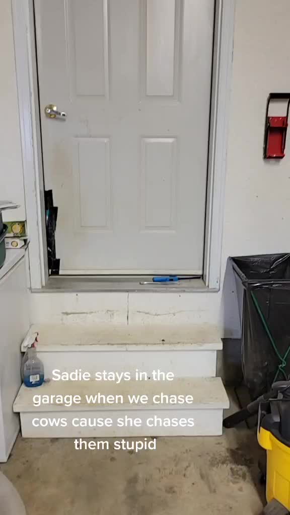 @spider___guy