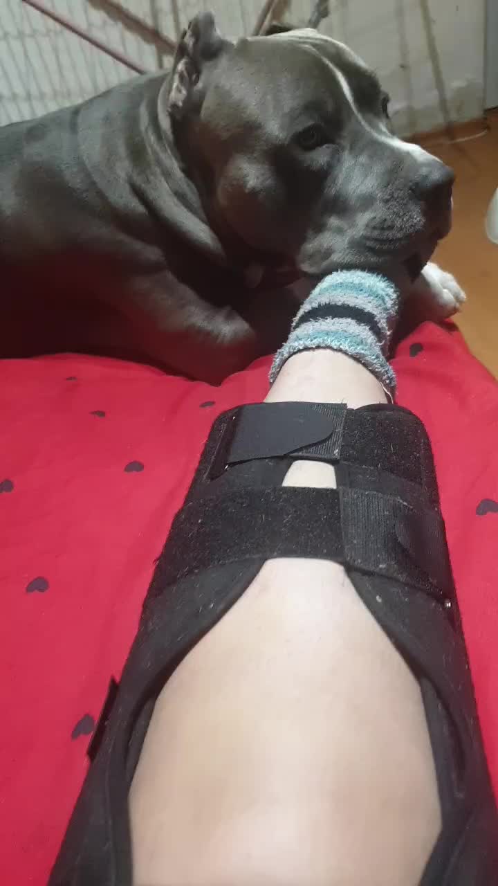 @denisa.dns