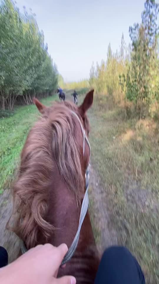 @Бобур Абдумажидов