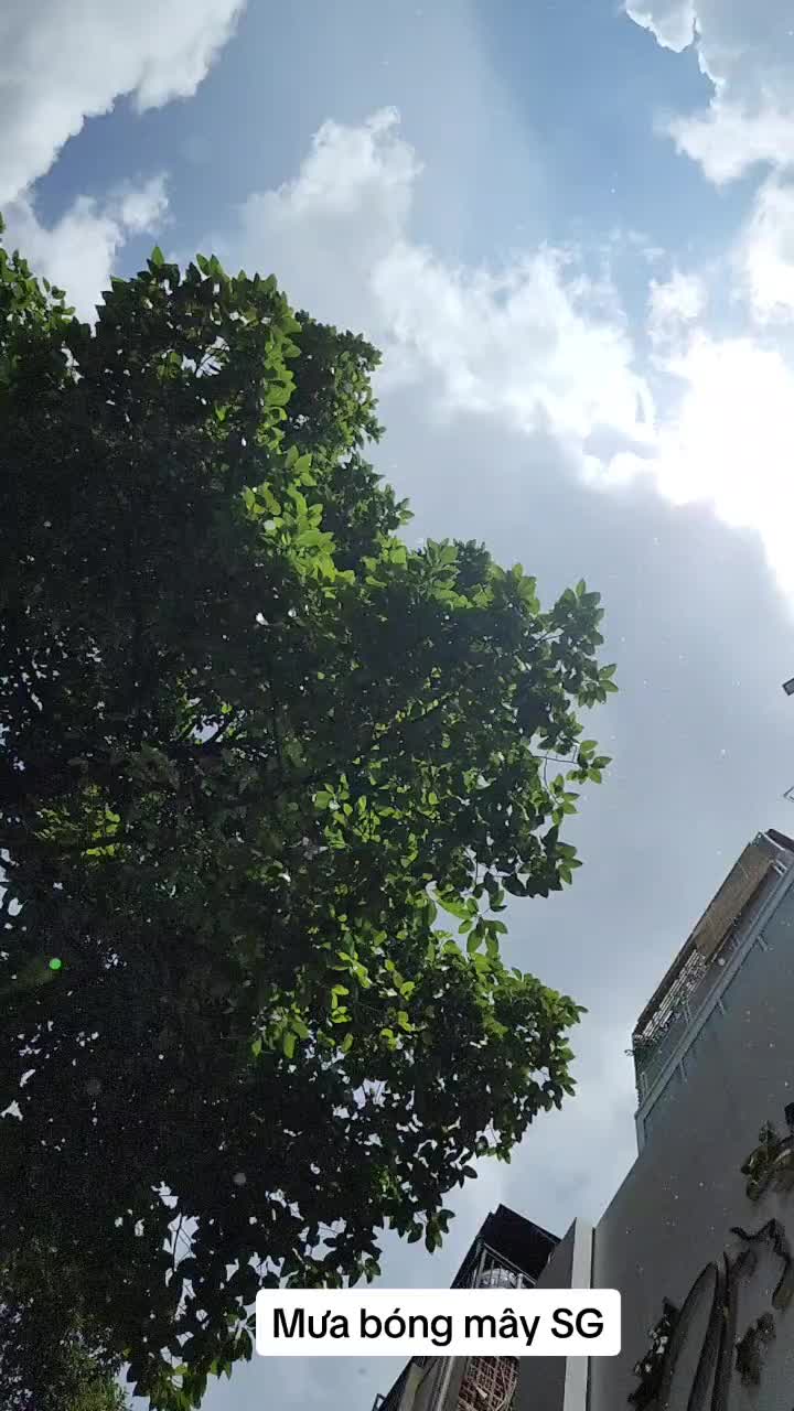 @Gù Nười