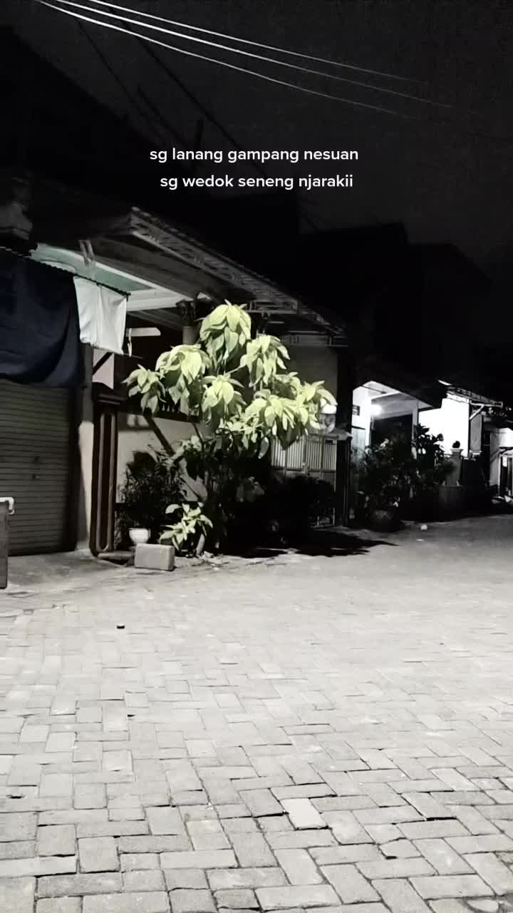 @piaaa
