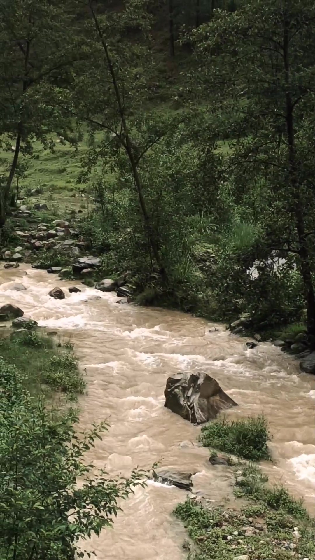 @Sujal humagain