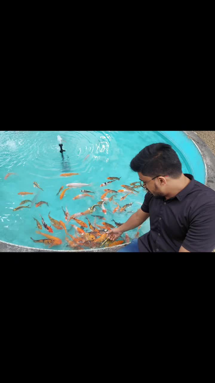 @Tik Toker