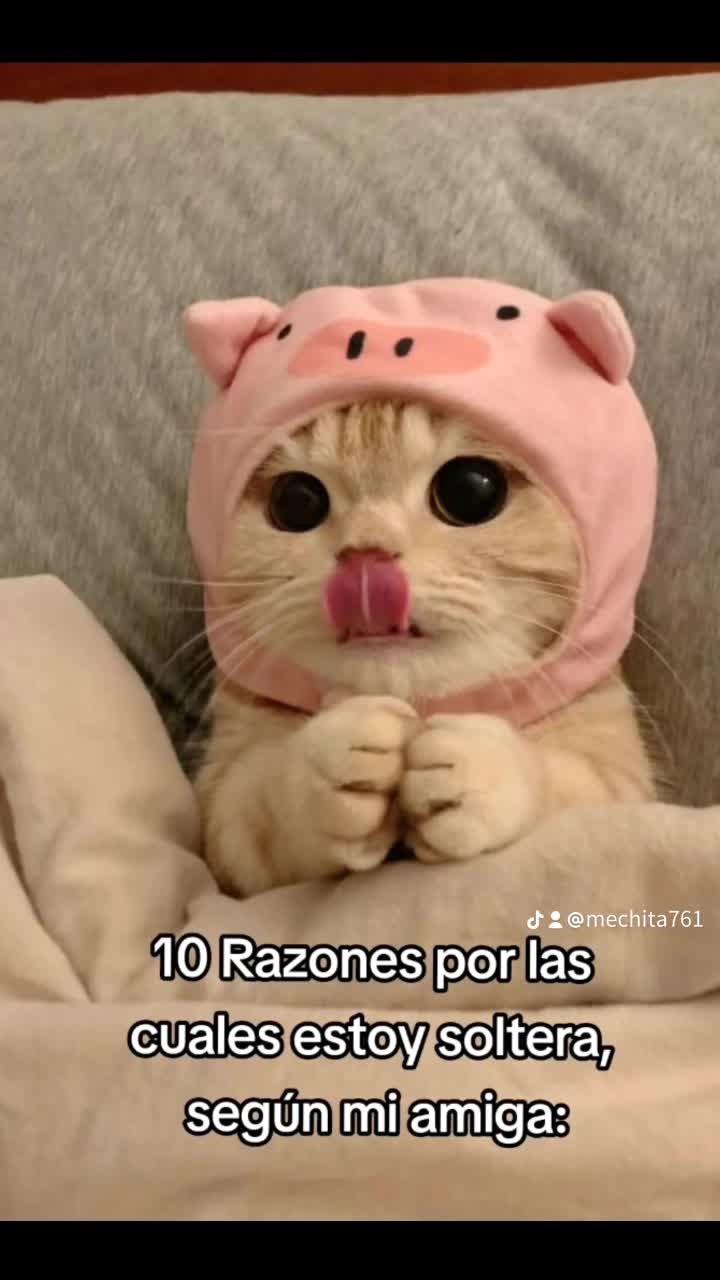 @mechita761