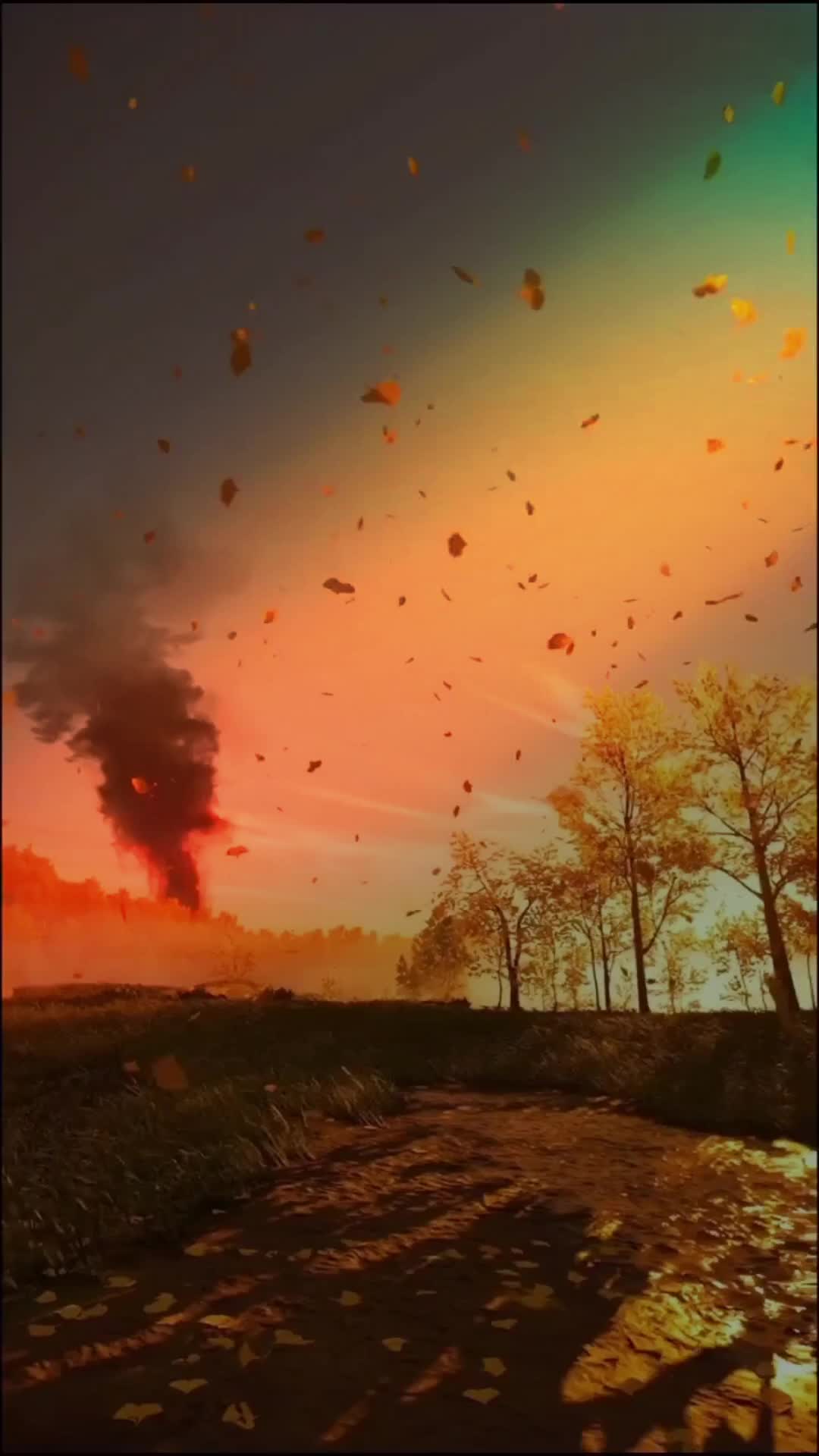@kaieberhardt225