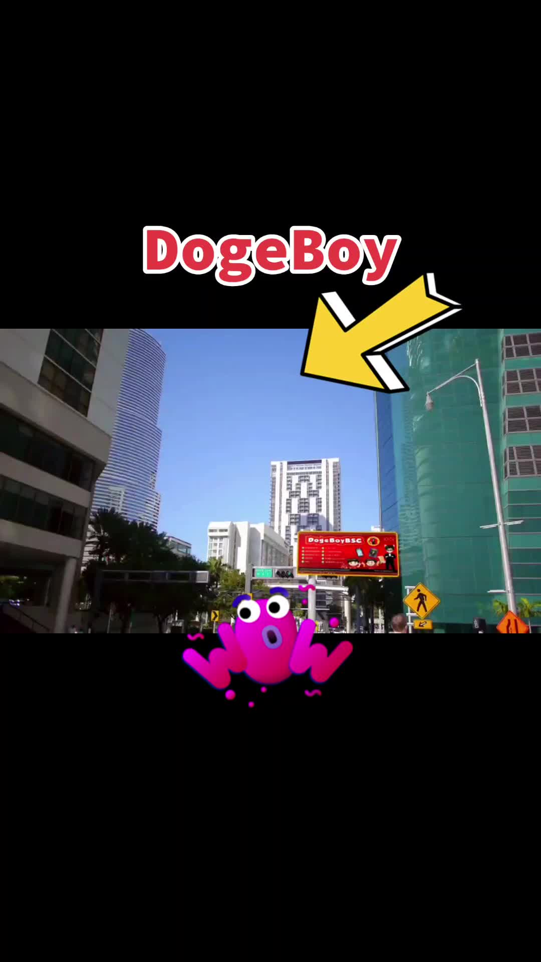@DOGEBOY