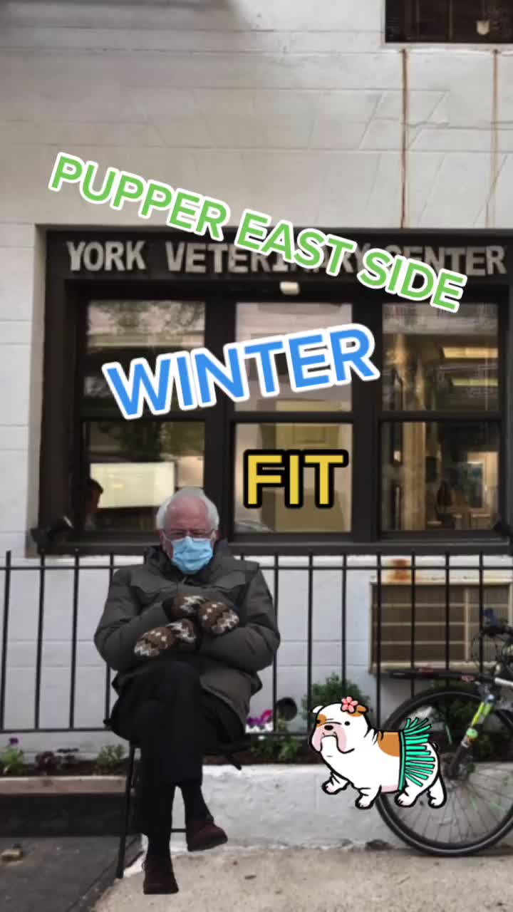 @Dr. Spencer J. Herman, DVM