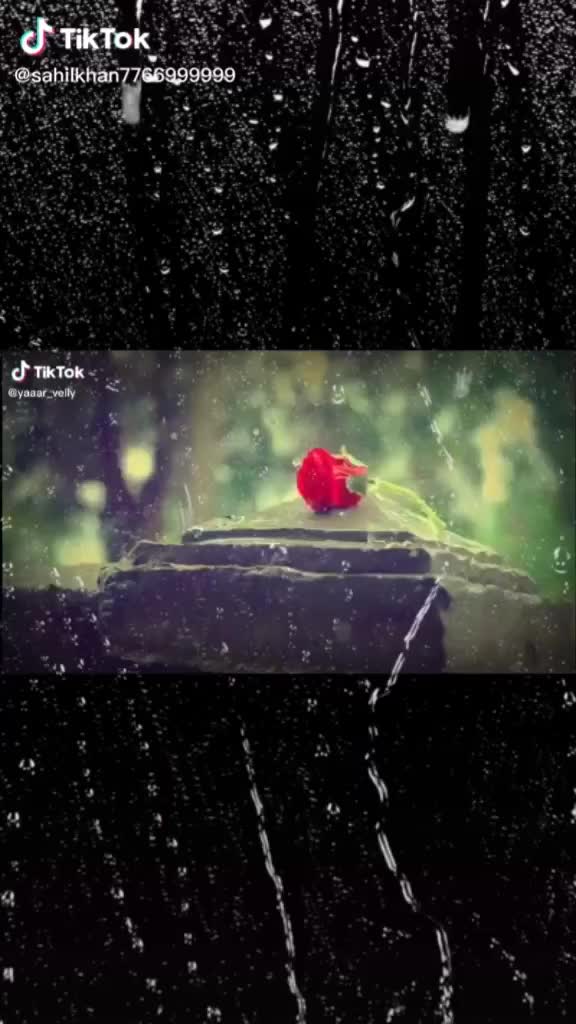 @user204126jeeya